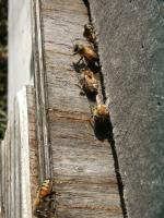 View photo in a new window