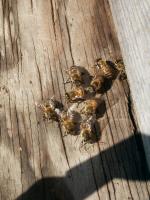 View photo in a new window