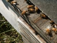 View photo in a new window