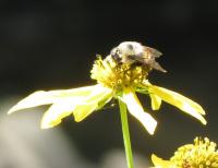 View photo in a new window