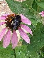 View photo in a new window