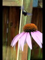 View photo in a new window