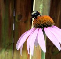 View photo in a new window