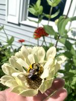 View photo in a new window