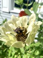 View photo in a new window