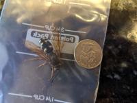 View photo in a new window