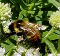 View photo in a new window