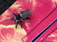 View photo in a new window