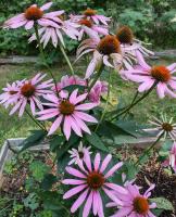 View photo in a new window