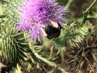 View photo in a new window