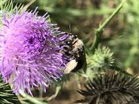 View photo in a new window