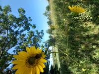 View photo in a new window