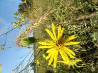 View photo in a new window