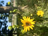 View photo in a new window