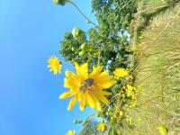 View photo in a new window