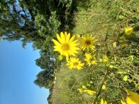 View photo in a new window