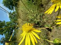 View photo in a new window