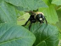 View photo in a new window