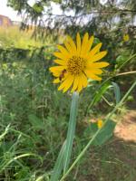 View photo in a new window