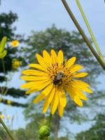 View photo in a new window