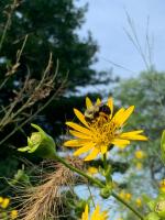 View photo in a new window