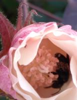 View photo in a new window