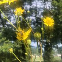 View photo in a new window