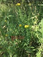 View photo in a new window