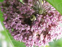 View photo in a new window