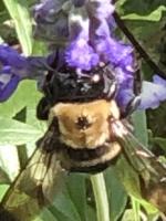 View photo in a new window