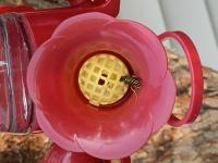 View photo in a new window