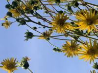 View photo in a new window