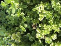 View photo in a new window