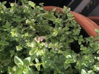 View photo in a new window