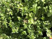 View photo in a new window