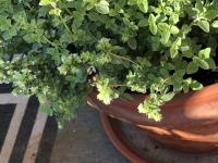 View photo in a new window