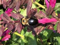 View photo in a new window