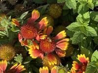 View photo in a new window