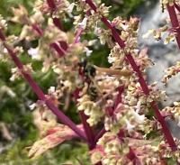 View photo in a new window