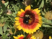 View photo in a new window