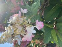 View photo in a new window