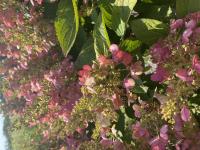 View photo in a new window