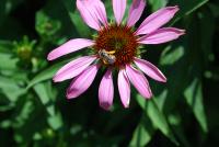 View photo in a new window