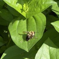 View photo in a new window