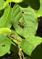 View photo in a new window