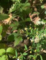 View photo in a new window