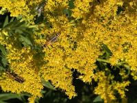 View photo in a new window