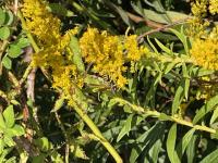 View photo in a new window