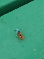 View photo in a new window