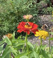 View photo in a new window